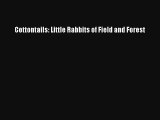 Cottontails: Little Rabbits of Field and Forest Read Online Free