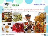 Whole Spices Exporters - Ground Spices Manufacturers