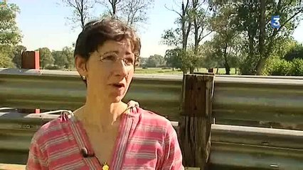 Fièvre catarrhale : la vaccination des bovins a débuté en Bourgogne