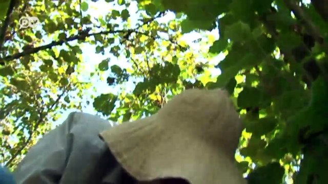 Georgia/Abkhazia: Surviving a stalemate | Focus on Europe