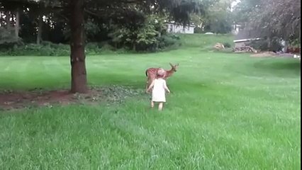 Un faon très ami avec un bébé