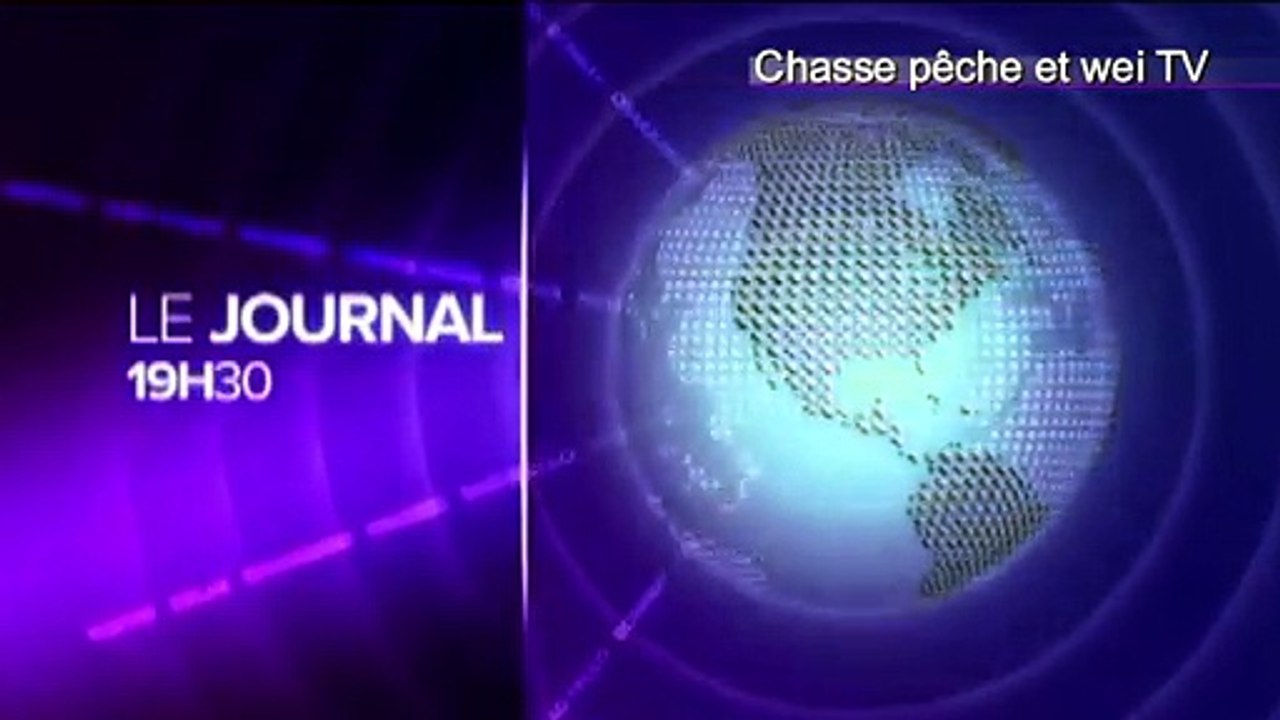 trailer bus cochon volant