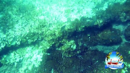 Churna Island - 26 September 2015 - Diversclub.pk