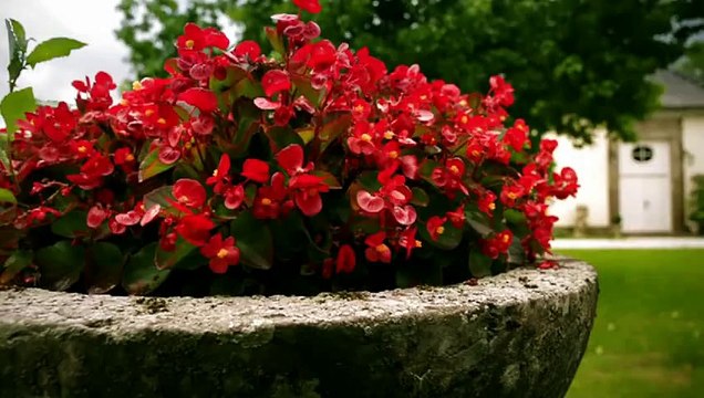 Marlene & Rebecca - Part 067.1 (Ep. 4172)