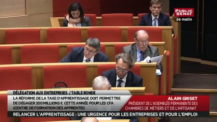 Table ronde - Recul de l'apprentissage dans le cadre des travaux de la délégation aux entreprises - Audition