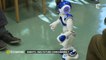 Robots : nos futurs compagnons