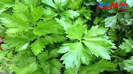 5 ways to get straight hairs naturally