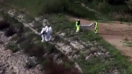 El vídeo de la sirena polaca que causó furor en la red