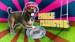 Wales v Fiji - Rugby World Cup Puggle Predictor
