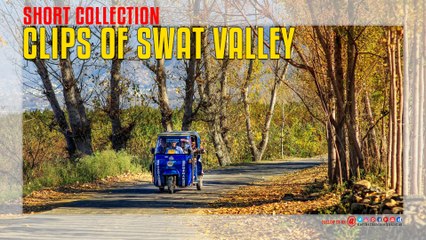 Swat Valley Beautiful Clips Collection