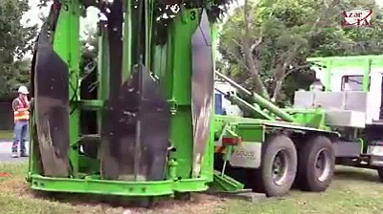 Tree Planted Machine