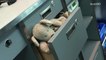 Toronto airport employees take lost stuffed animal on an adventure