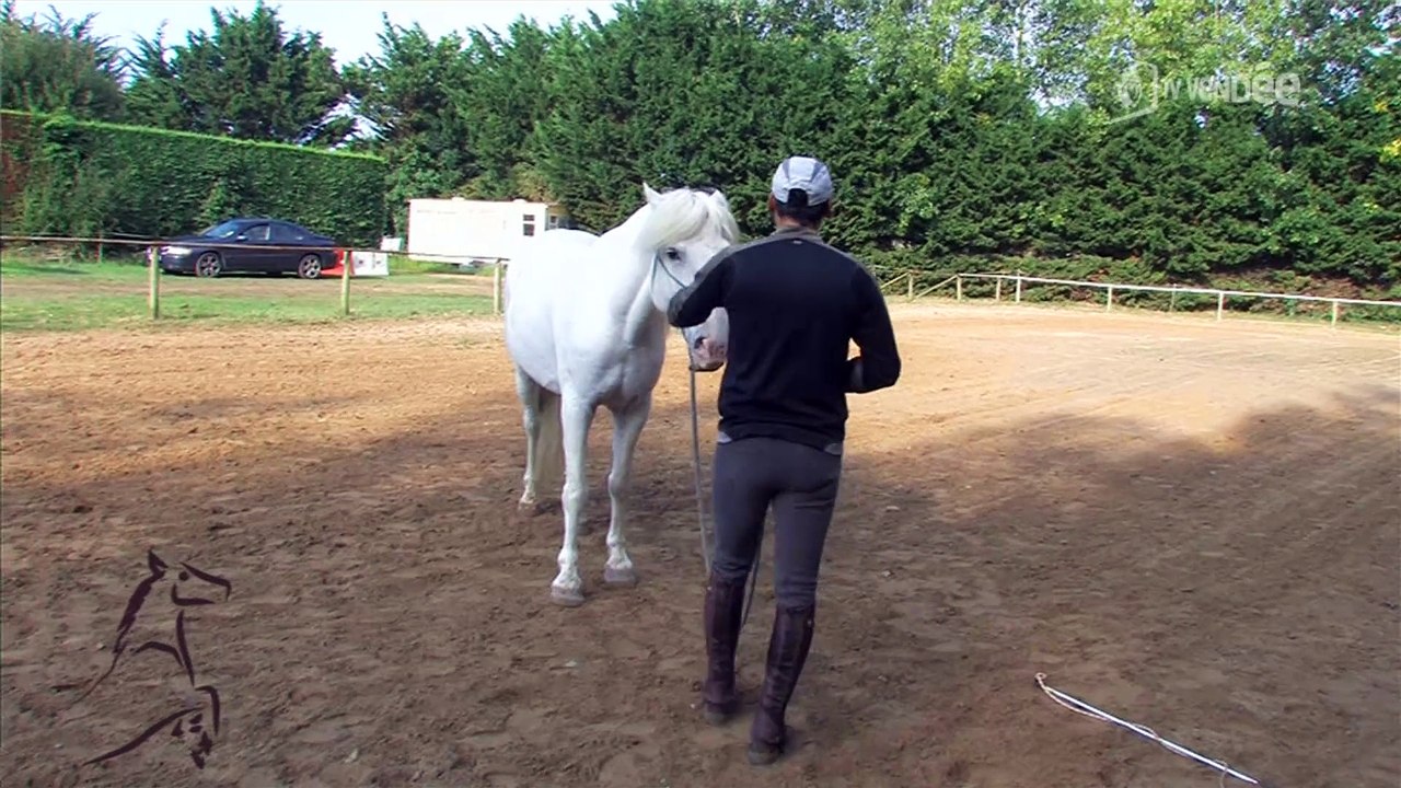 Cavalcades : L'éthologie