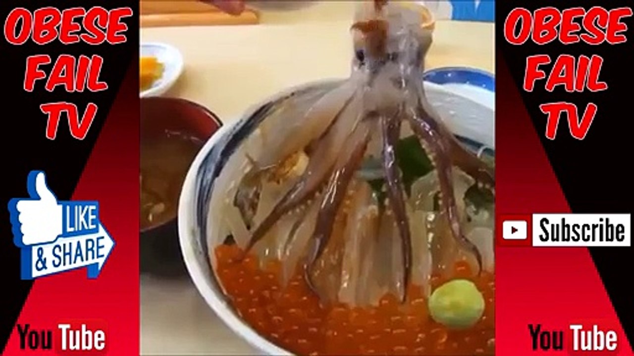 BITCH WHAT THE FUCK Vine Compilation | BWTF Best Vines Compilation 2015