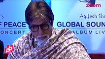 Amitabh Bachchan to promote Maharashtra Tourism - Bollywood News