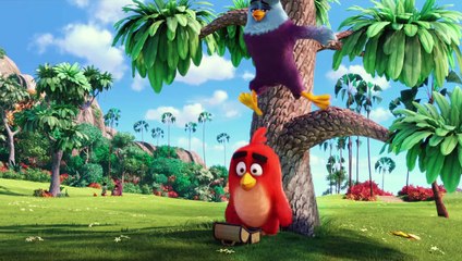 ANGRY BIRDS - Bande-annonce VF