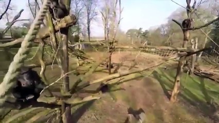 Funny collection Jokes video clips #32 2015