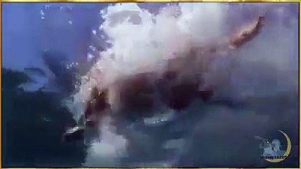 SubhanALLAH Amazing video