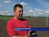 Počela setva, 01. oktobar 2015. (RTV Bor)