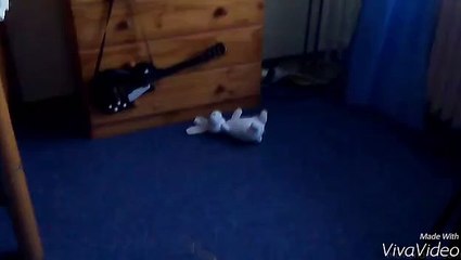 Bob &  Bobek Spell Capter