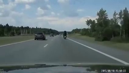 Omg Wait is that Bear Riding a Bike