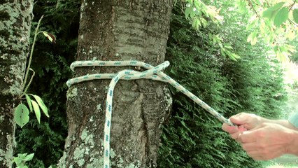 7 Noeuds utiles aux cavaliers