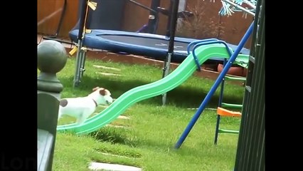 Funny collection Jokes video clips #33 2015