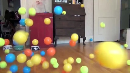 Funny collection Jokes video clips #35 2015