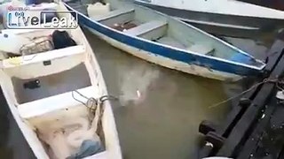 LiveLeak.com - Piranhas Swarming for Meat