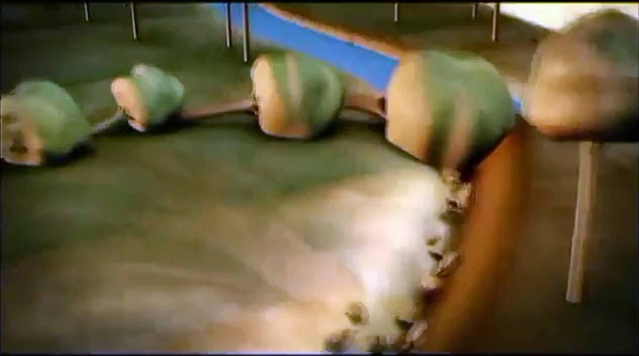 Money  ads for WWF - Brasil (WWF International)