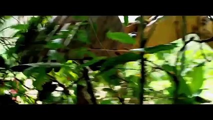 Eli Roth Explains “The Green Inferno”—His New Cannibalistic Horror Film