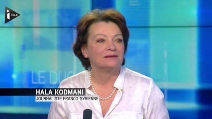 Syrie : les frappes russes font polémique