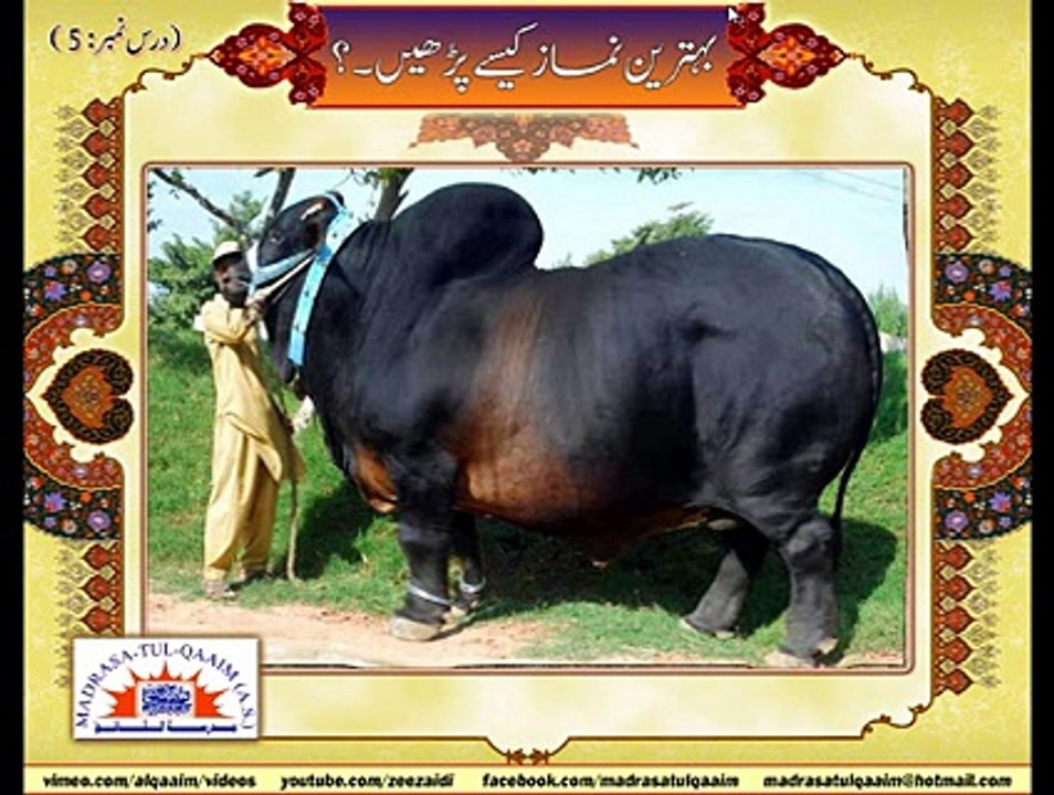 Behtareen Namaz Kesy Parhan Dars5 part3