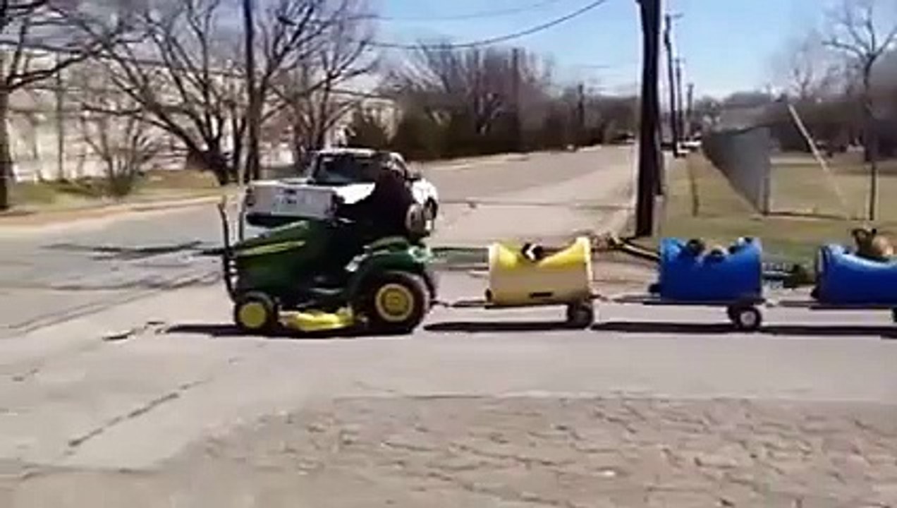 Dog Train Fort Worth