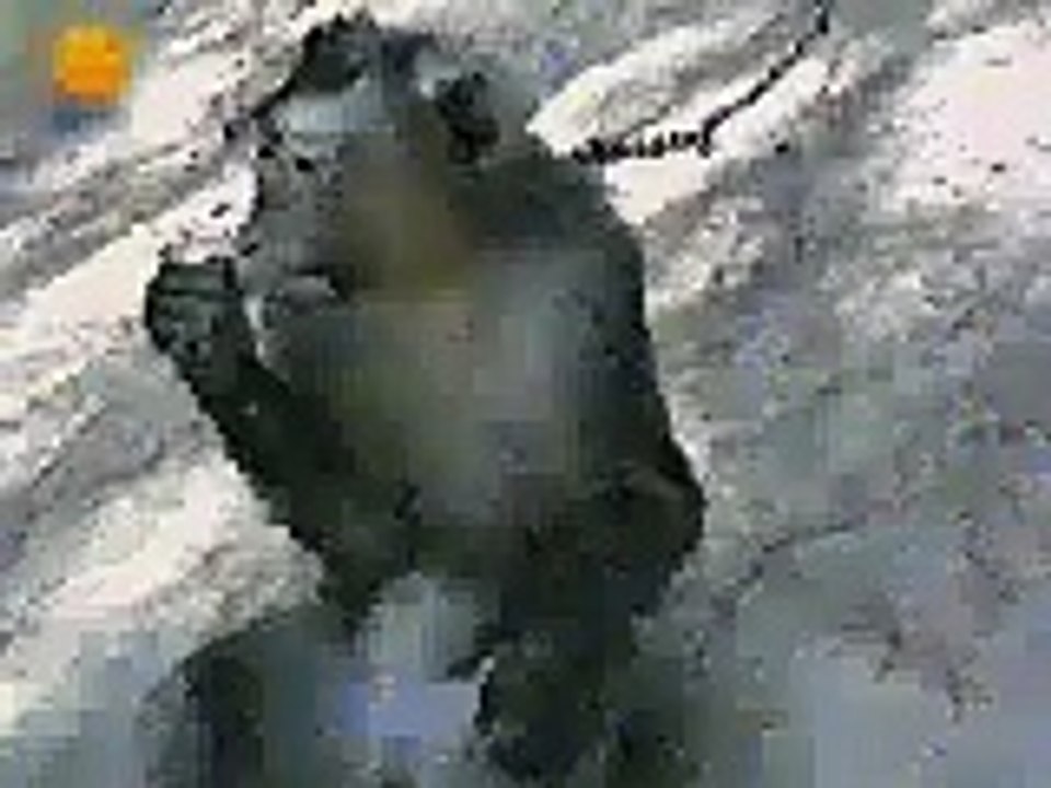 monkeykick