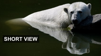 Bit late to be bearish