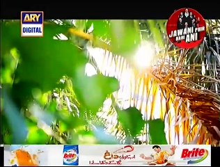 Guriya Rani Episode 94 Full on Ary Digital 30th September 2015