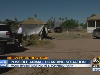 Possible animal hoarding situation