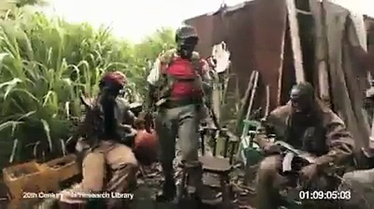 Amazing Fighter