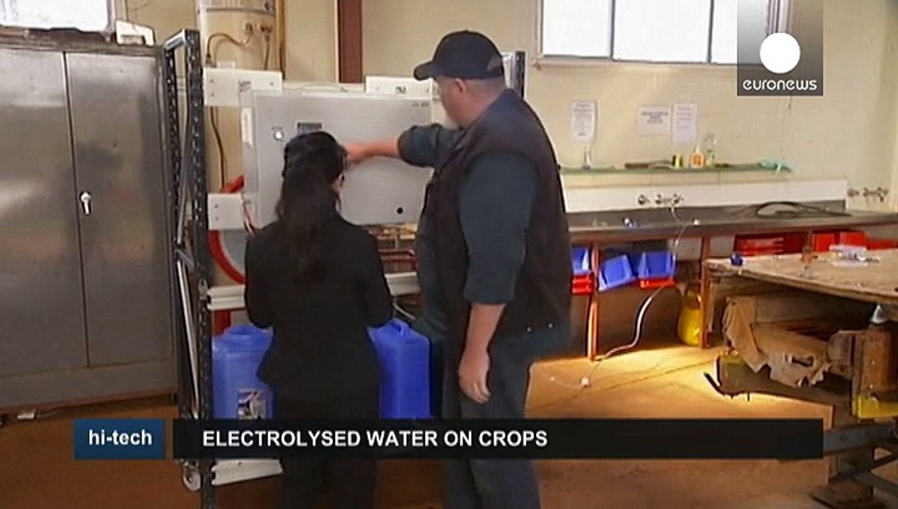 Pflanzenschutz durch elektro-aktiviertes wasser