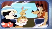 DONALD DUCK CARTOON & CHIP AND DALE CARTOON Mickey Mouse and Pluto New Animation for kids 1