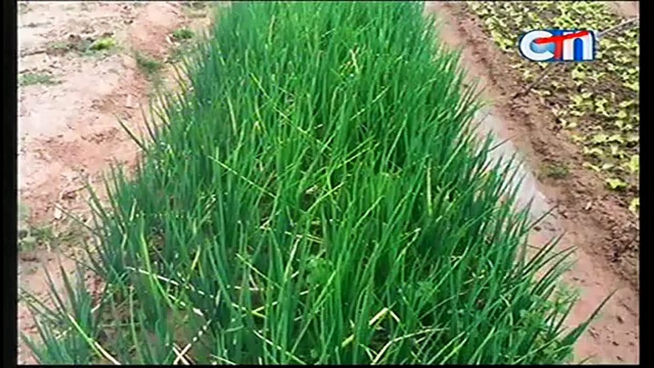 CTN Channel 21  October 01, 2015, part 2