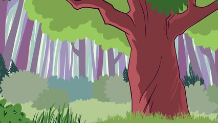 The Animals of Baltimore Wood