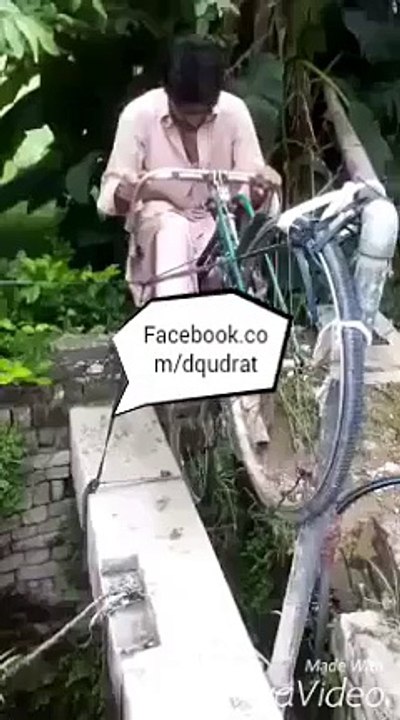Pakistani talent