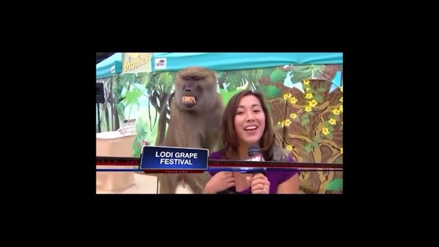 Ultimate Thug Life Compilation | Best Thug Life Vines | Funny Thug Life Videos Compilation