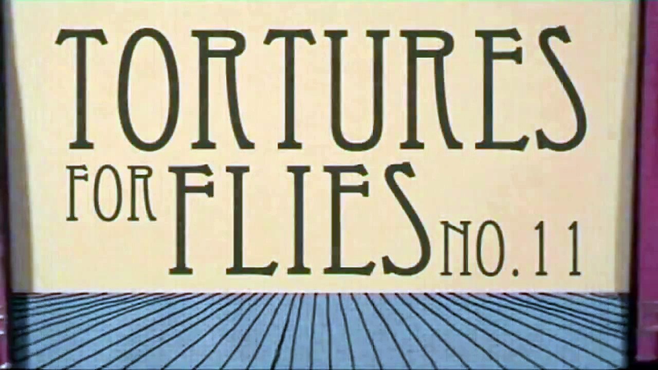 Tortures for Flies: Indian Matchbox (HD)