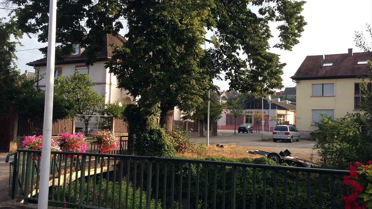 Şeddiaraban Peşrev / Haydar