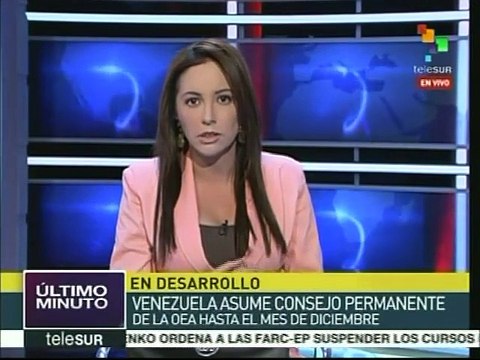 Venezuela asume el consejo permanente de la OEA