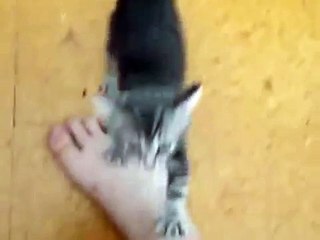 Ну возьми меня на ручки!