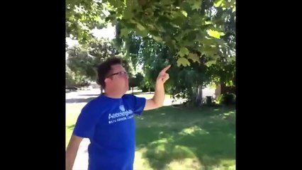 Best New Vines Compilation December 2013 Awesome Vine Videos HD